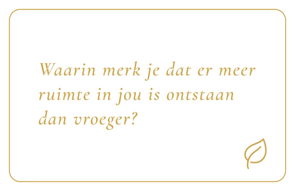 Reflectiekaartje met daarop: "Waarin merk je dat er meer ruimte in jou is ontstaan dan vroeger?"
