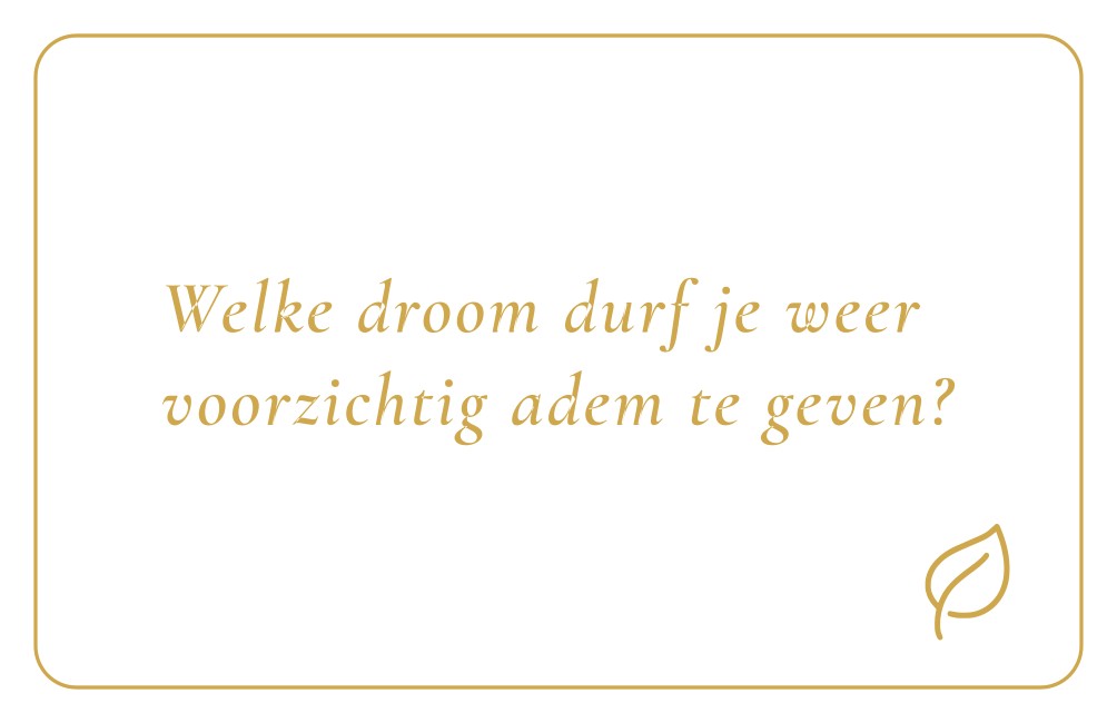 Reflectiekaartje met daarop: "Welke droom durf je weer voorzichtig adem te geven?"