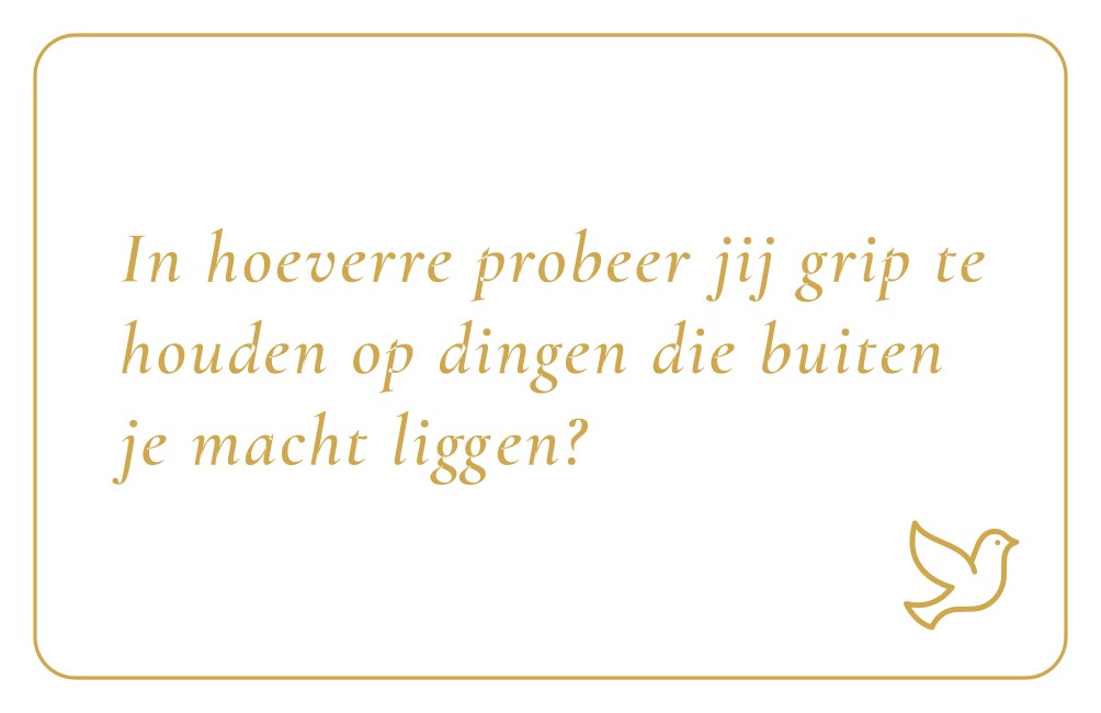 Reflectiekaartje met daarop: "In hoeverre probeer jij grip te houden op dingen die buiten je macht liggen?"