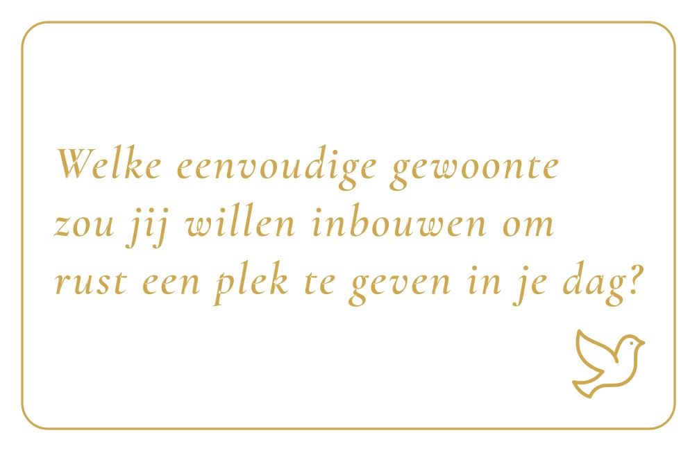 Reflectiekaartje met daarop: "Welke eenvoudige gewoonte zou jij willen inbouwen om rust een plek te geven in je dag?"