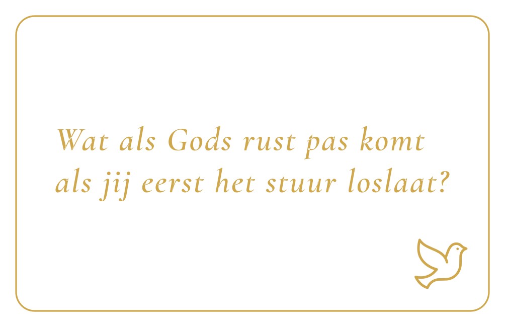 Reflectiekaartje met daarop: "Wat als Gods rust pas komt als jij eerst het stuur loslaat?"