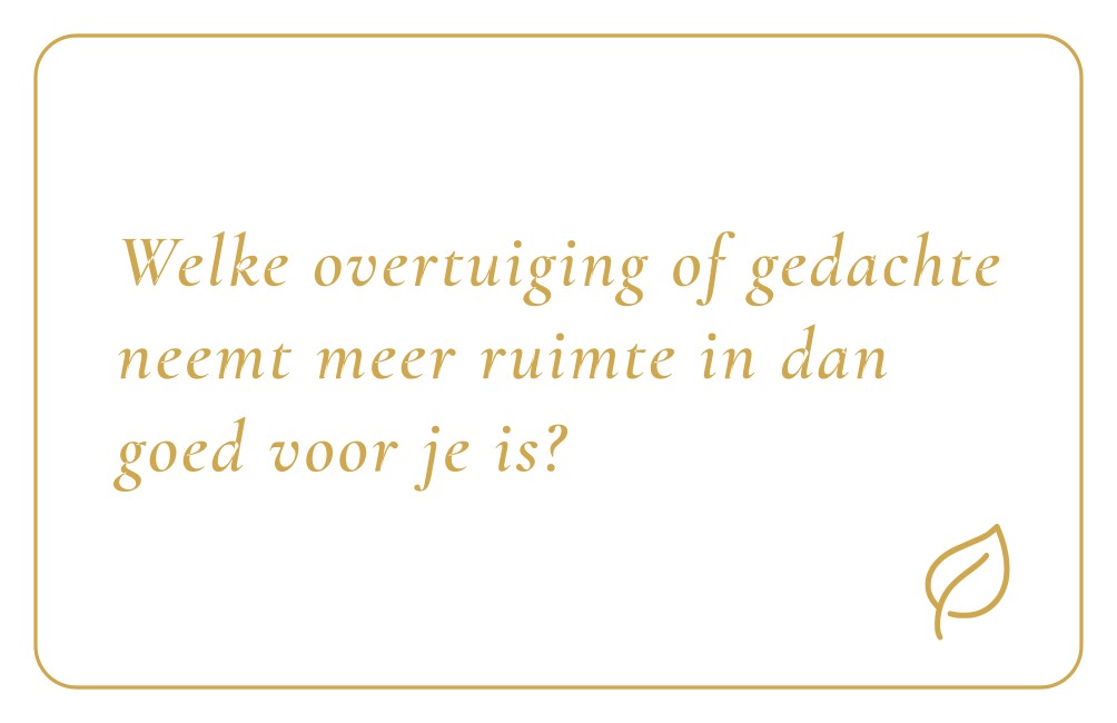 Reflectiekaartje met daarop: "Welke overtuiging of gedachte neemt meer ruimte in dan goed voor je is?"