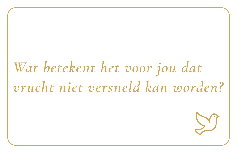 Reflectiekaartje met daarop: "Wat betekent het voor jou dat vrucht niet versneld kan worden?"