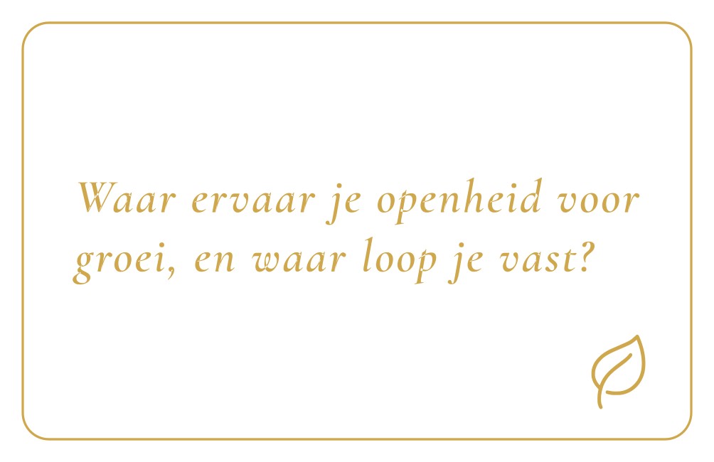 Reflectiekaartje met daarop: "Waar ervaar je openheid voor groei, en waar loop je vast?"