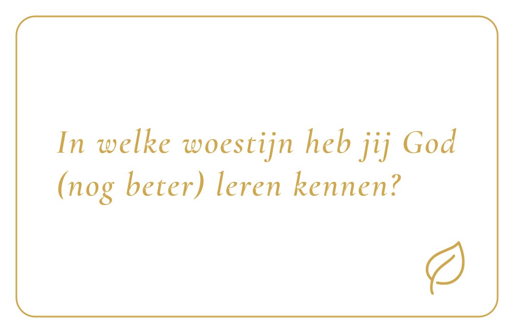 Reflectiekaartje met daarop: "In welke woestijn heb jij God (nog beter) leren kennen?"