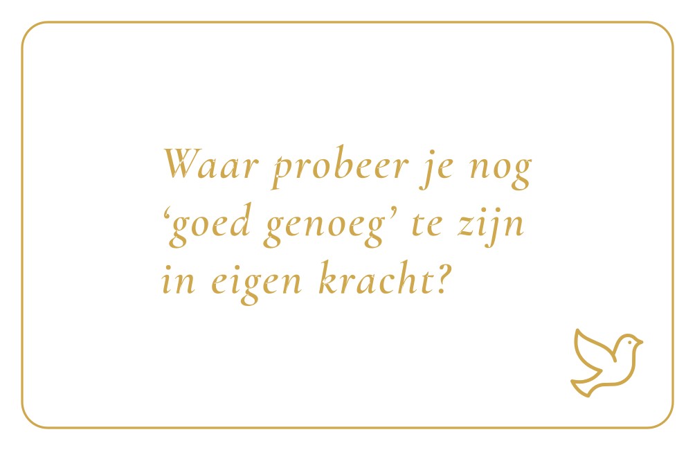 Reflectiekaartje met daarop: "waar probeer je nog 'goed genoeg' te zijn in eigen kracht?"