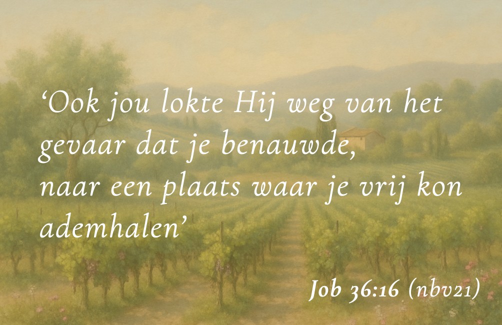 Kaartje met Bijbeltekst: "Ook jou lokte Hij weg van het gevaar dat je benauwde, naar een plaats waar je vrij kon ademhalen." Job 36:16 NBV21